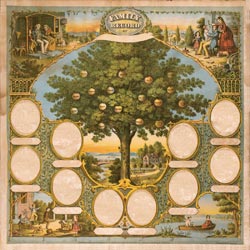 12x12 Traditional Family Tree