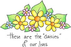Daisies of Our Lives