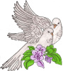 Wedding Doves