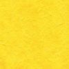 12x12 Bright Yellow Mulberry