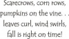 Scarecrows and Corn Rows