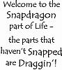 Snapdragon Verse
