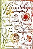 Friendship Floral