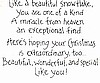Beautiful Snowflake