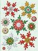 BW Evergreen Snowflake Chipboard