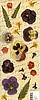 Life's Journey Pansies