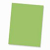 8.5x11 Leaf Green Vellum