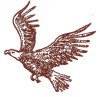 Soaring Eagle