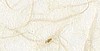 8.5x11 Natural Mulberry