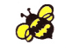 Honey Bee
