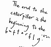 The Butterfly