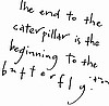 The Butterfly