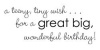 Birthday Wish