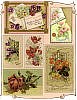 Vintage Greetings