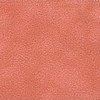 8.5x11 Salmon