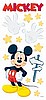 Disney Mickey