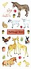 Petting Zoo