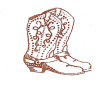 Small Western Boots