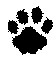 Paw