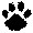 Tine Paw