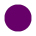 Versa Magic Dew Drop Purple Hydrangea