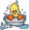 Duck Bath