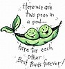 Two Peas In A Pod