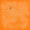 12x12 Orange Web