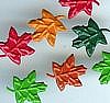 Maple Leaf Brads