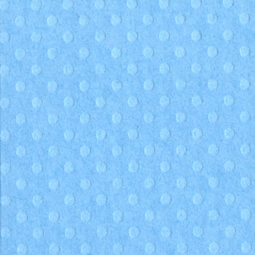 8.5x11 Bazzill Dotted Swiss-Poolside