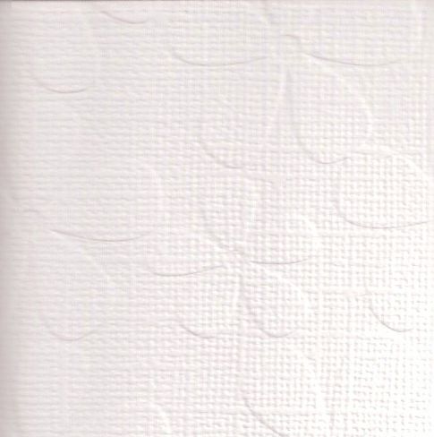 12x12 Embossed Oopsy Daisy White