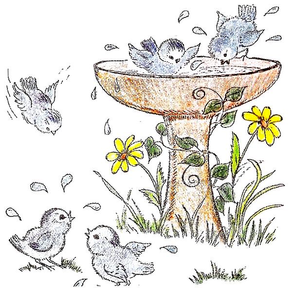 Birdbath