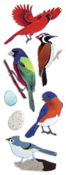 Jolee's North American Birds