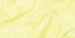 8.5x11 Pastel Yellow Mulberry