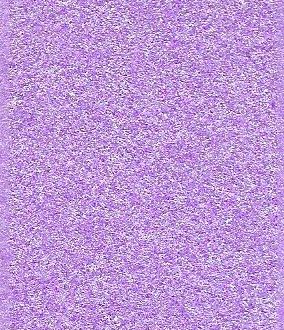 8.5x11 Pearlized Cardstock Venus Violet