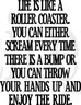 Life is Like A Roller Coaster