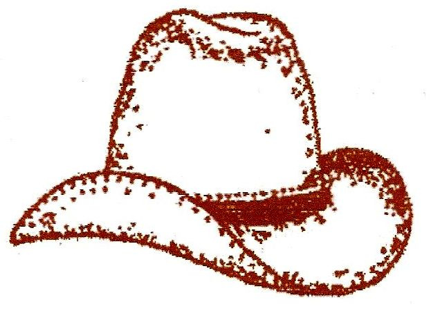 Small Western Hat