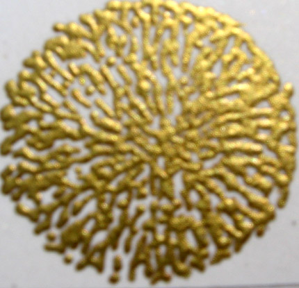 Gold Dust/Embossing Powder