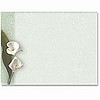 Calla Lilies/A2 Envelope