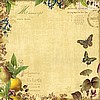 Nature Storybook Vellum